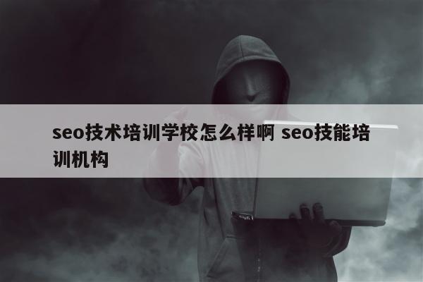 seo技术培训学校怎么样啊 seo技能培训机构