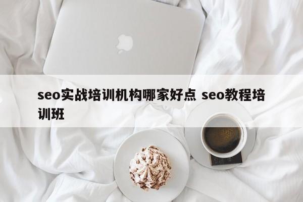 seo实战培训机构哪家好点 seo教程培训班