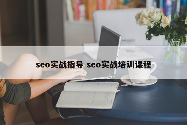 seo实战指导 seo实战培训课程