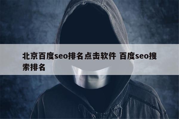 北京百度seo排名点击软件 百度seo搜索排名