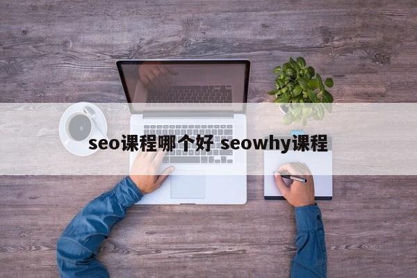 seo课程哪个好 seowhy课程