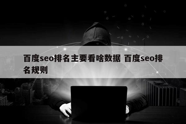 百度seo排名主要看啥数据 百度seo排名规则