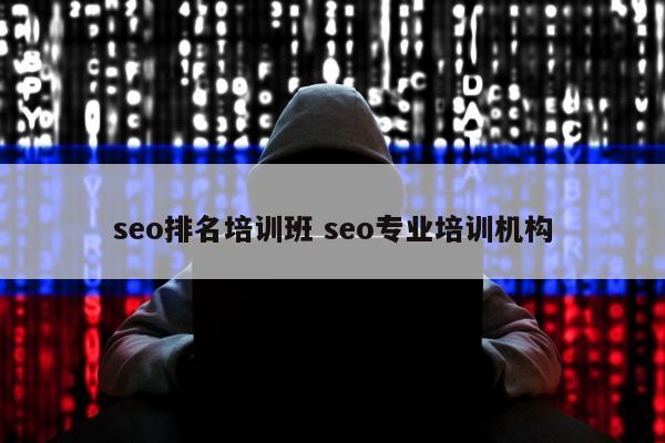 seo排名培训班 seo专业培训机构