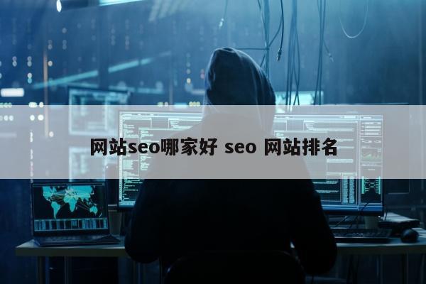 网站seo哪家好 seo 网站排名