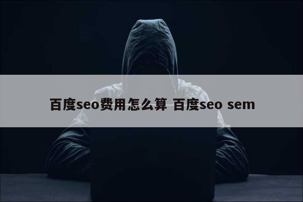 百度seo费用怎么算 百度seo sem