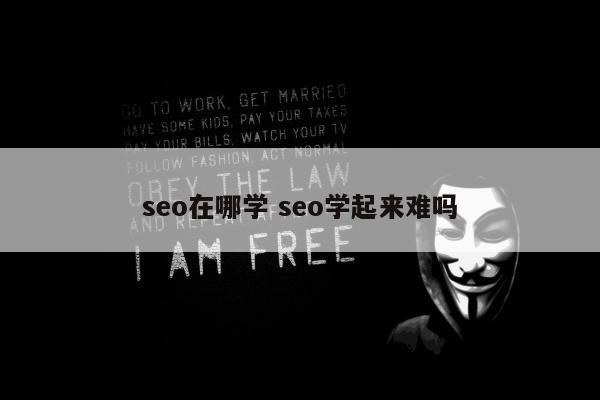 seo在哪学 seo学起来难吗