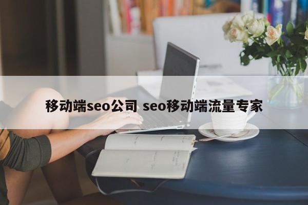 移动端seo公司 seo移动端流量专家