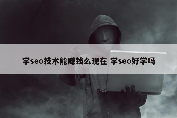 学seo技术能赚钱么现在 学seo好学吗