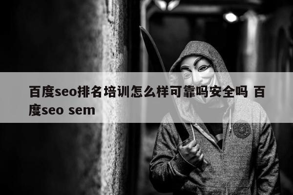 百度seo排名培训怎么样可靠吗安全吗 百度seo sem