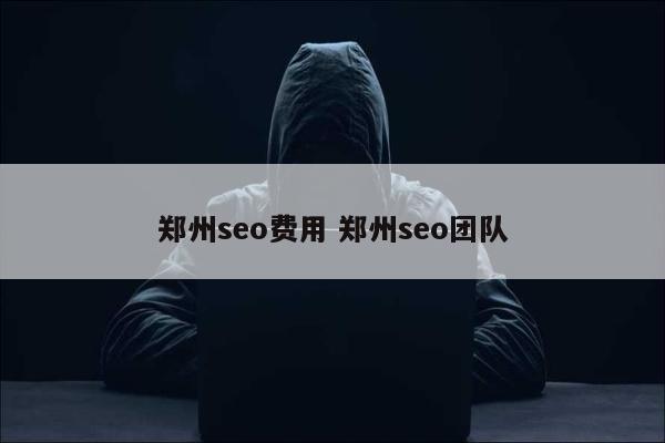 郑州seo费用 郑州seo团队