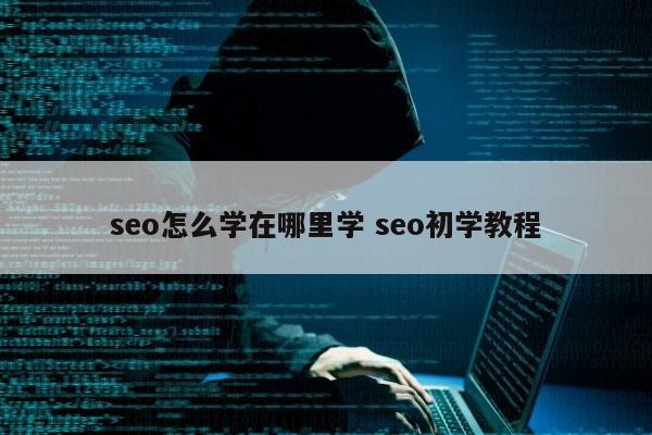 seo怎么学在哪里学 seo初学教程