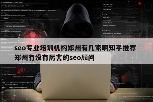 seo专业培训机构郑州有几家啊知乎推荐 郑州有没有厉害的seo顾问