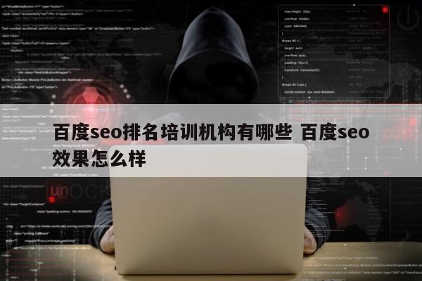百度seo排名培训机构有哪些 百度seo效果怎么样