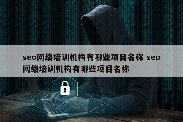seo网络培训机构有哪些项目名称 seo网络培训机构有哪些项目名称