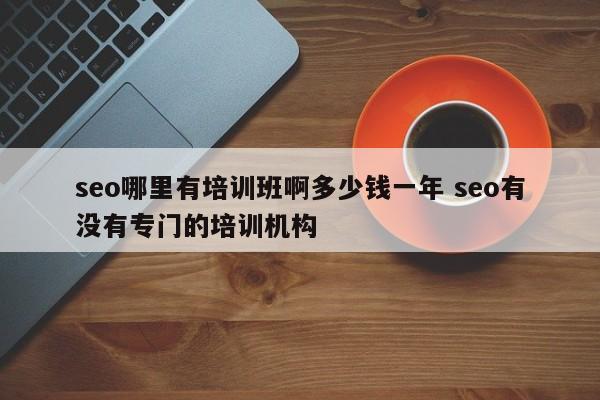 seo哪里有培训班啊多少钱一年 seo有没有专门的培训机构