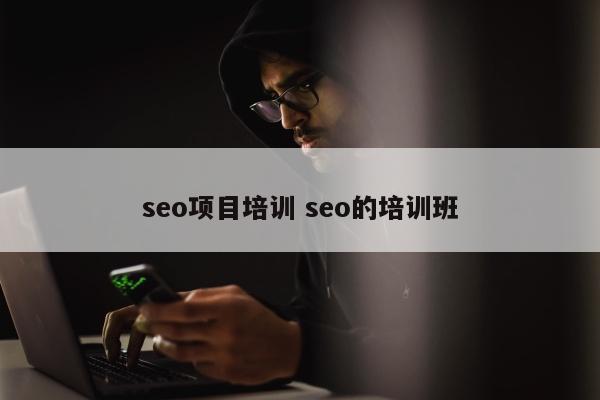 seo项目培训 seo的培训班