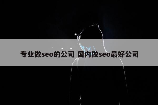 专业做seo的公司 国内做seo最好公司