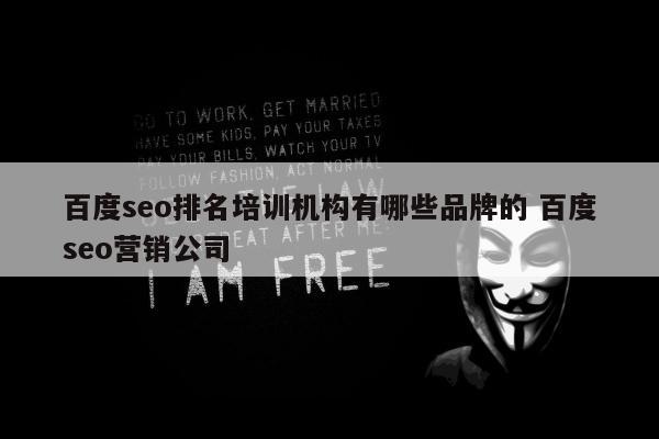百度seo排名培训机构有哪些品牌的 百度seo营销公司