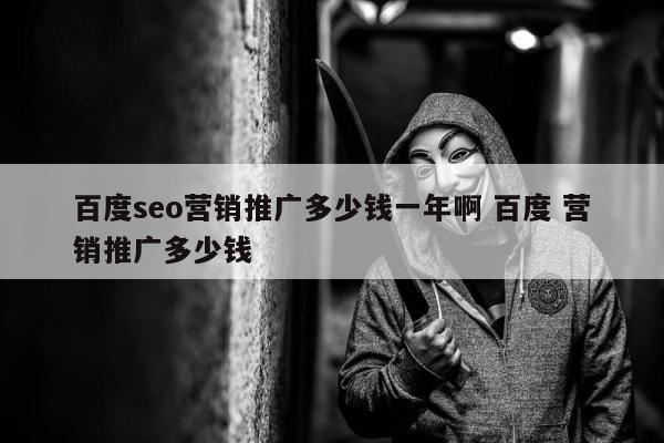 百度seo营销推广多少钱一年啊 百度 营销推广多少钱