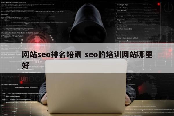 网站seo排名培训 seo的培训网站哪里好