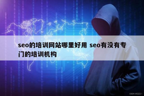 seo的培训网站哪里好用 seo有没有专门的培训机构