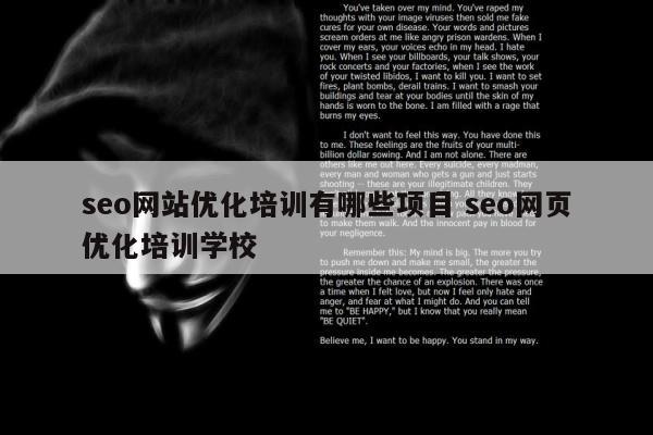 seo网站优化培训有哪些项目 seo网页优化培训学校