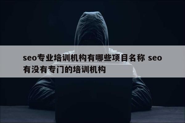 seo专业培训机构有哪些项目名称 seo有没有专门的培训机构