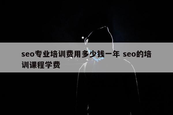 seo专业培训费用多少钱一年 seo的培训课程学费