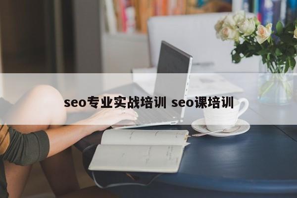 seo专业实战培训 seo课培训
