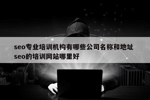 seo专业培训机构有哪些公司名称和地址 seo的培训网站哪里好
