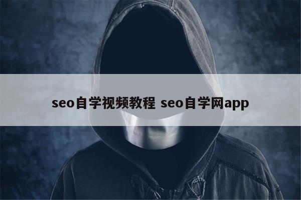 seo自学视频教程 seo自学网app