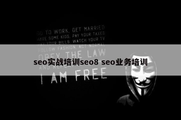 seo实战培训seo8 seo业务培训