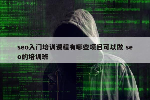 seo入门培训课程有哪些项目可以做 seo的培训班