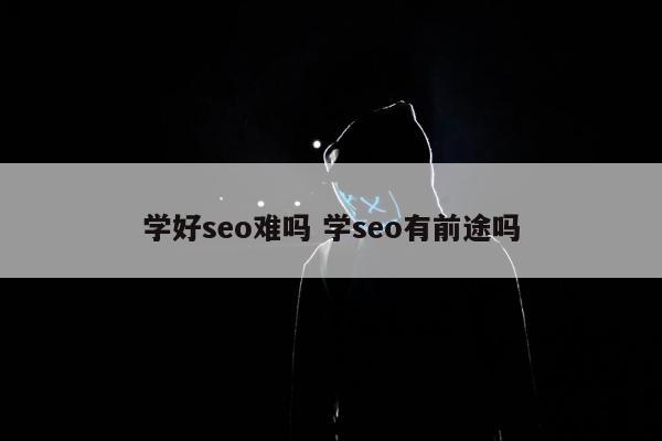 学好seo难吗 学seo有前途吗