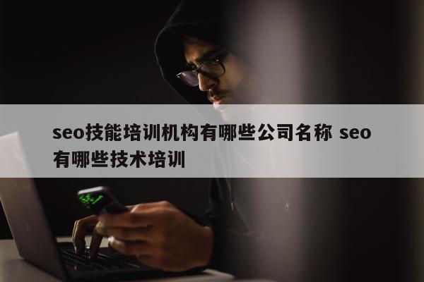 seo技能培训机构有哪些公司名称 seo有哪些技术培训