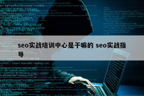 seo实战培训中心是干嘛的 seo实战指导