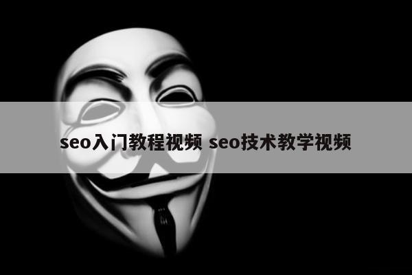 seo入门教程视频 seo技术教学视频