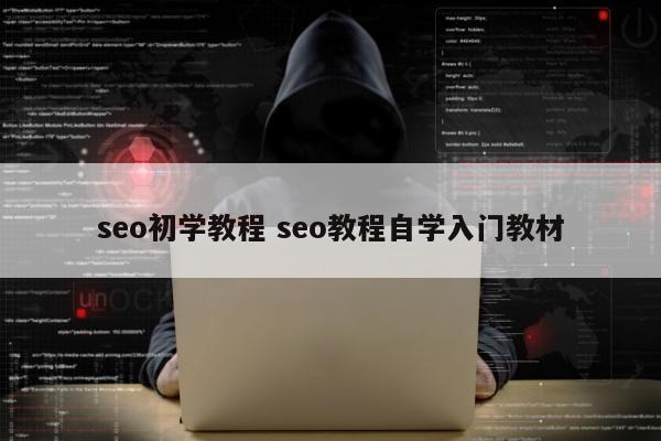 seo初学教程 seo教程自学入门教材