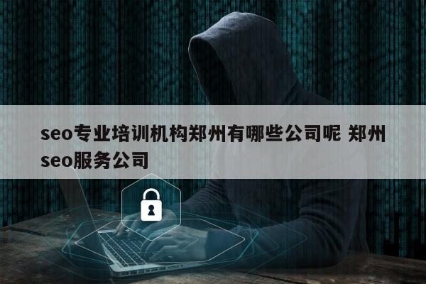 seo专业培训机构郑州有哪些公司呢 郑州seo服务公司