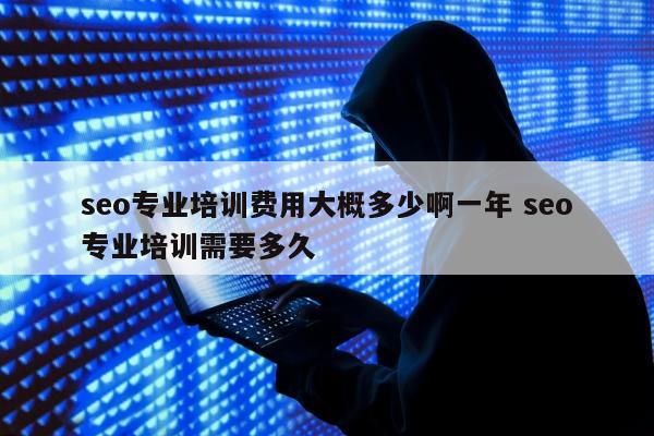 seo专业培训费用大概多少啊一年 seo专业培训需要多久