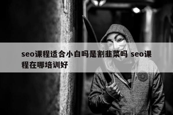 seo课程适合小白吗是割韭菜吗 seo课程在哪培训好