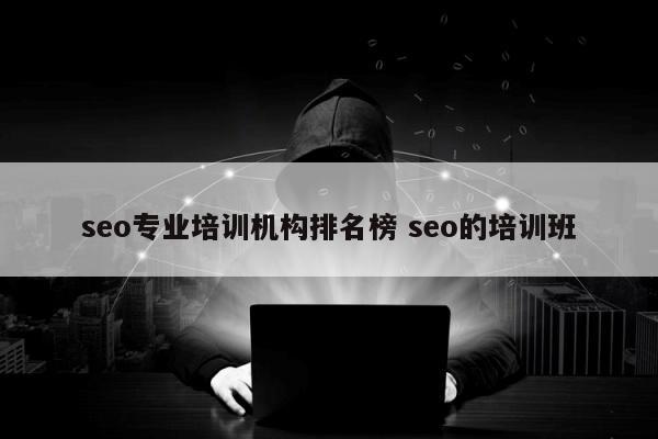 seo专业培训机构排名榜 seo的培训班