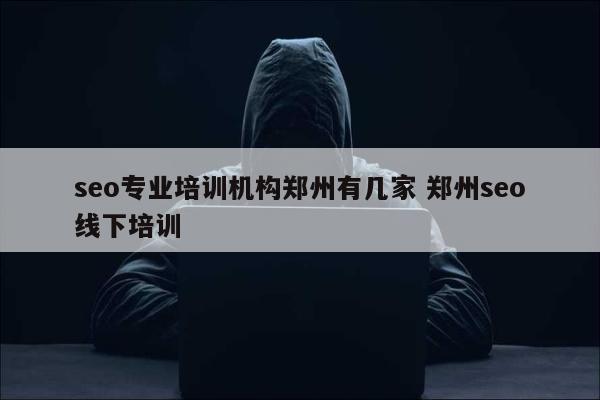 seo专业培训机构郑州有几家 郑州seo线下培训