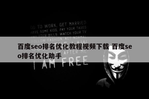 百度seo排名优化教程视频下载 百度seo排名优化助手