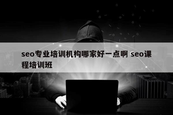 seo专业培训机构哪家好一点啊 seo课程培训班