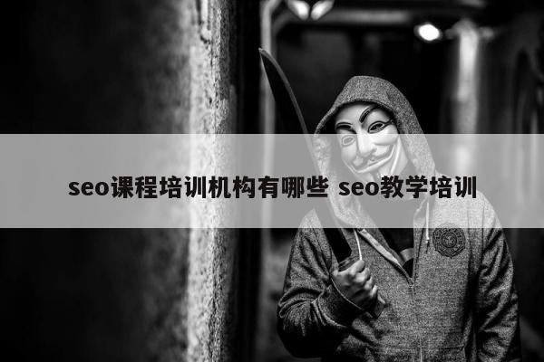 seo课程培训机构有哪些 seo教学培训