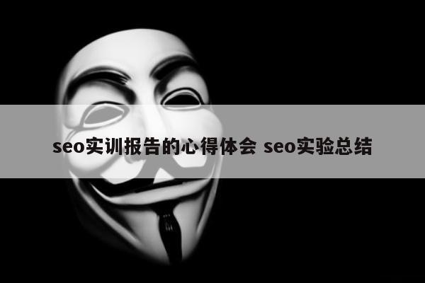seo实训报告的心得体会 seo实验总结