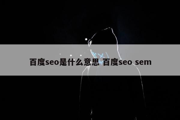 百度seo是什么意思 百度seo sem