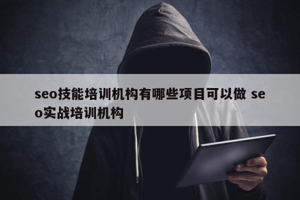 seo技能培训机构有哪些项目可以做 seo实战培训机构