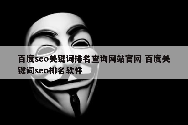 百度seo关键词排名查询网站官网 百度关键词seo排名软件